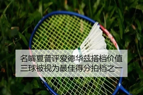 名嘴夏普评爱德华兹搭档价值 三球被视为最佳得分拍档之一